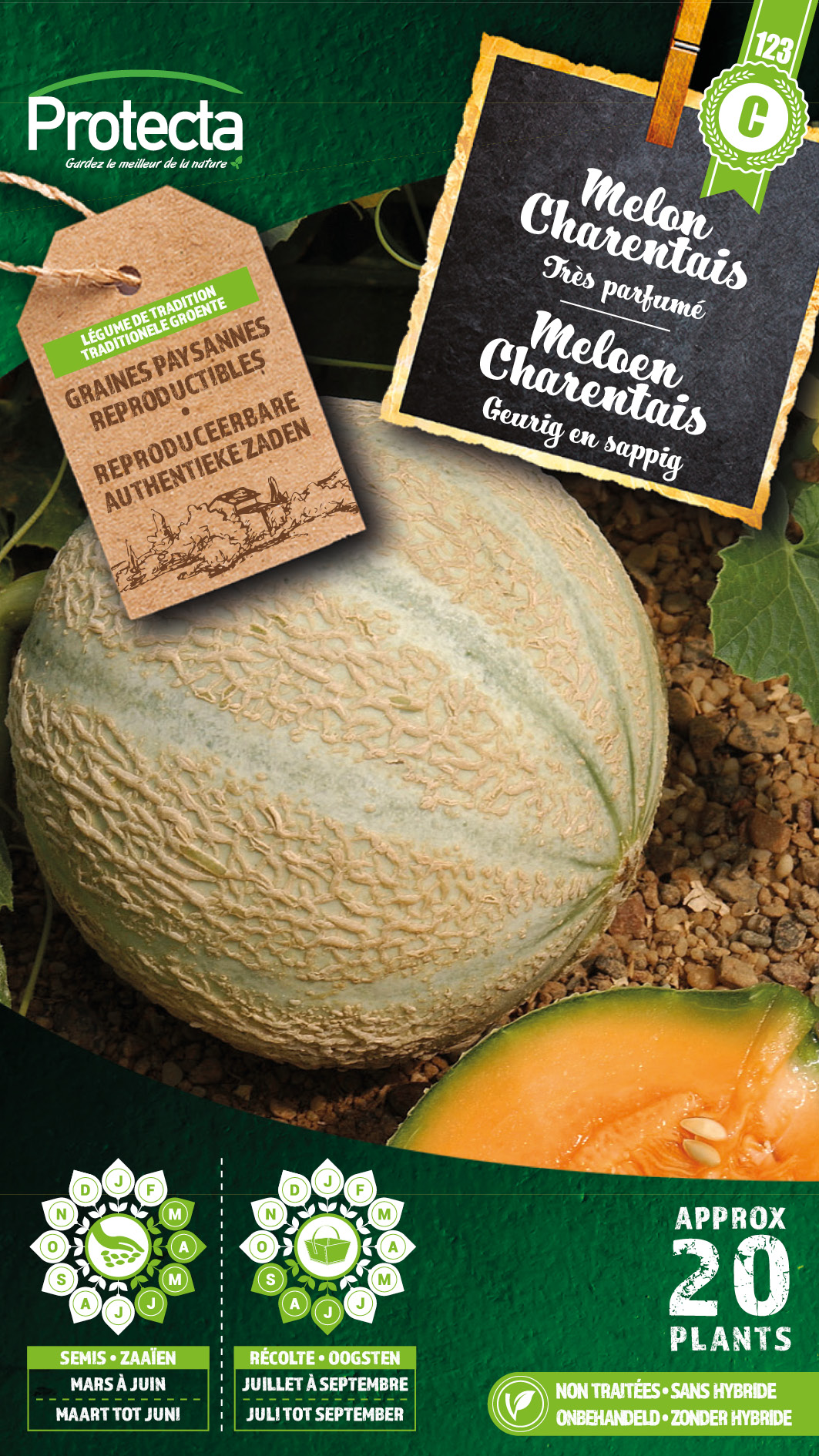 Melon Canteloup Charentais