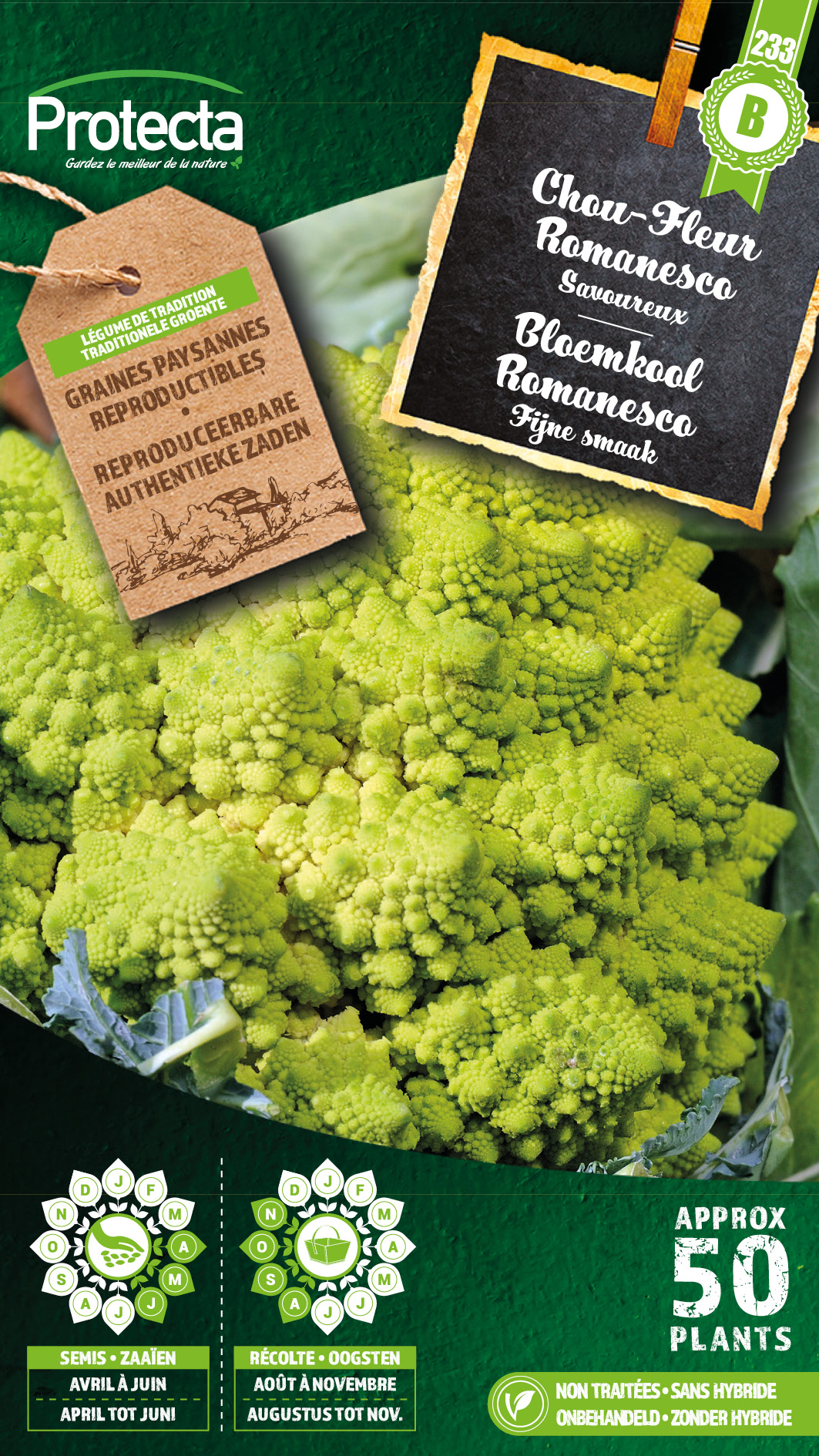 Chou Fleur Romanesco