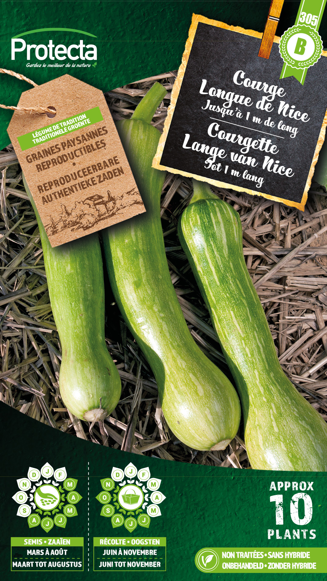 Courgette Lange van Nice PRO305