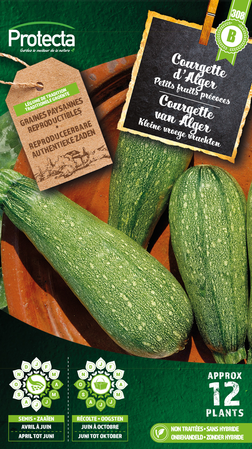 Courgette petite verte d'Alger PRO308