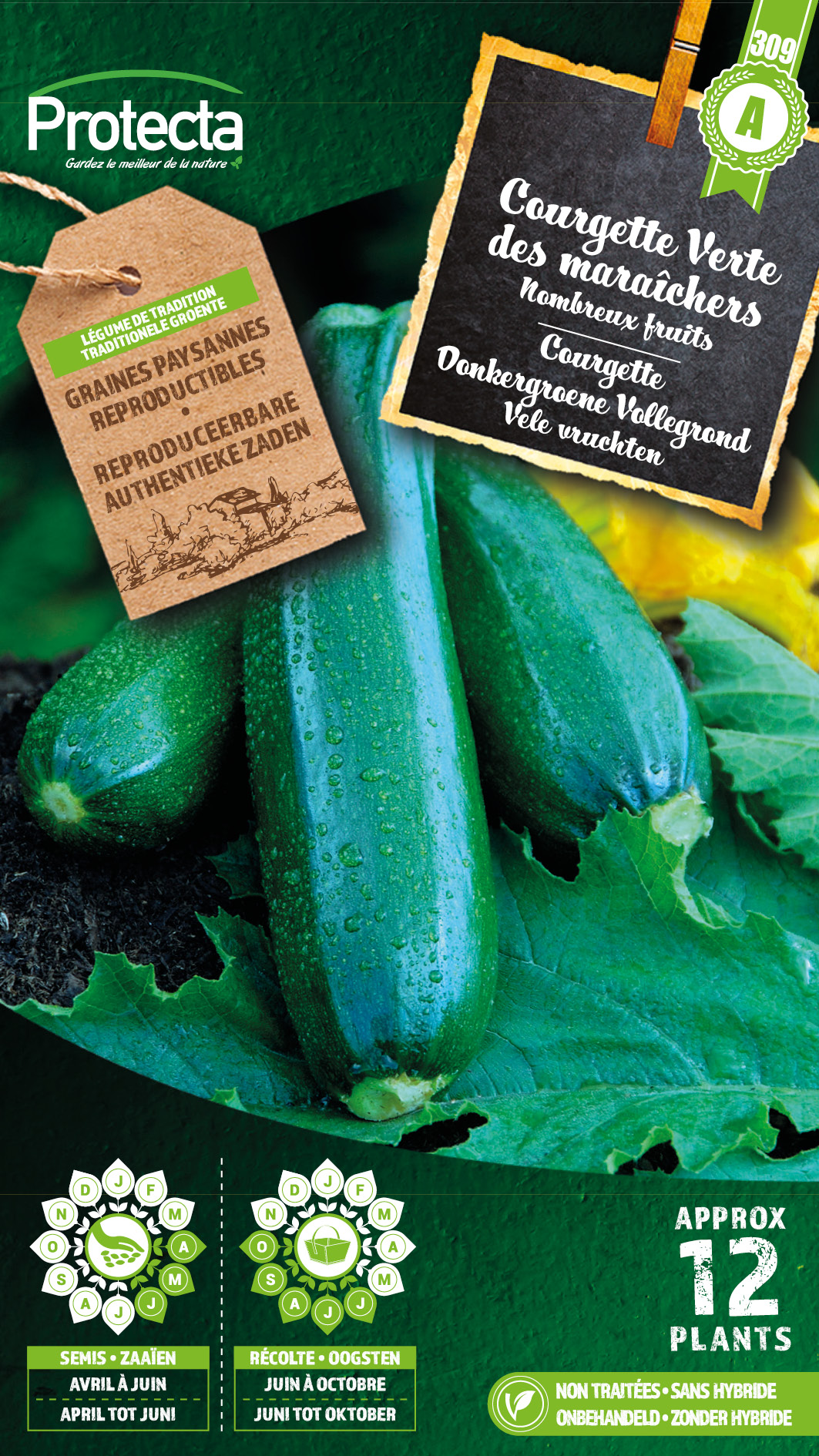 Courgette verte des mara?chers