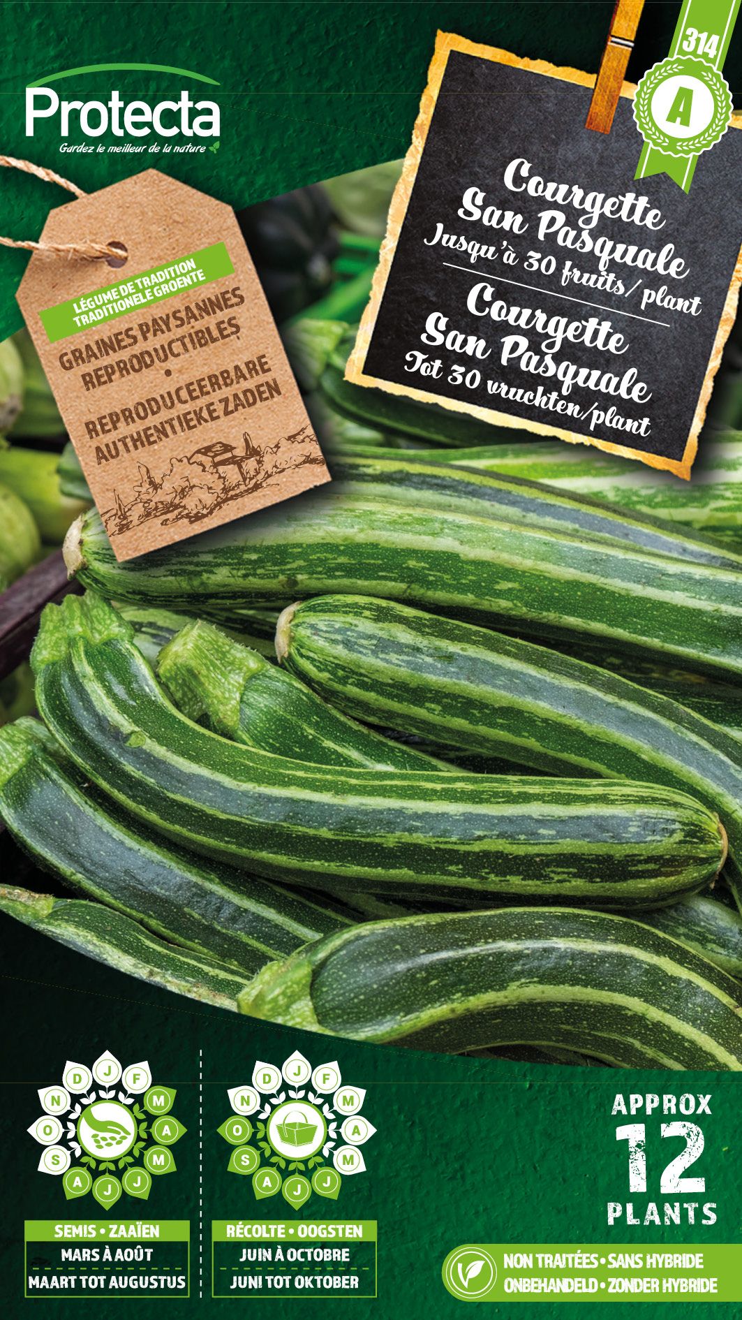 Courgette San Pasquale PRO314