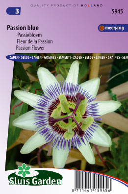 Passiflora coerulea Hemelsblauw - Koop Bloembollen voor een bloeiende  toekomst