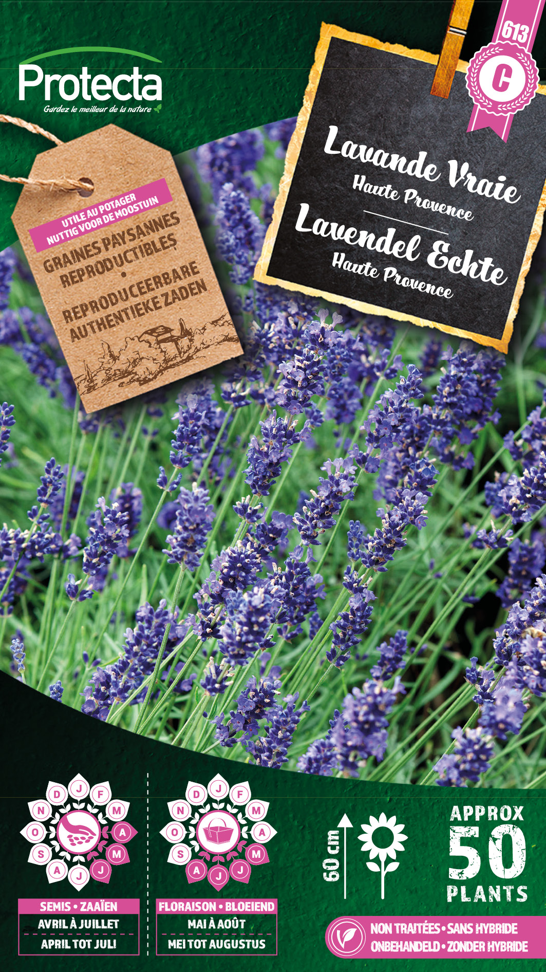 Lavendel Echte PRO613