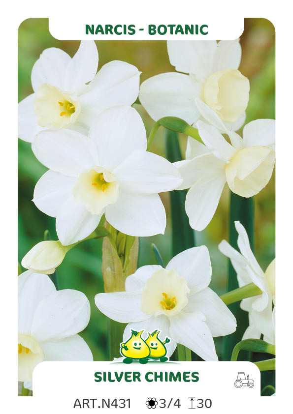 Narcis Silver Chimes