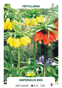 Fritillaria Imperialis Gemengd