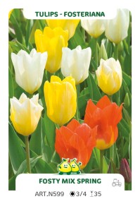 Tulpen Fosty Mix