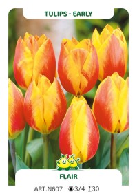 Tulp Flair